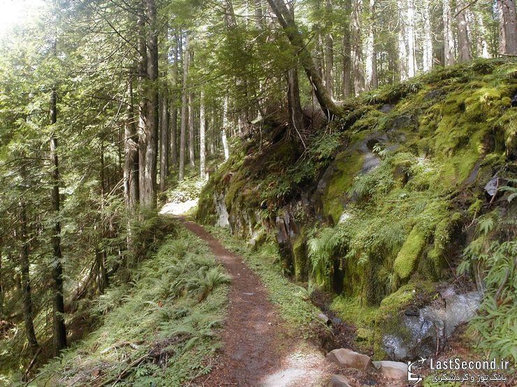 رامونا، آبشاری رویایی در دل جنگل کوهستانی